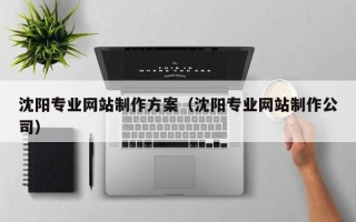 西宁沈阳专业网站制作方案（沈阳专业网站制作公司）